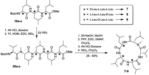 Marine Drugs | Special Issue : Bioactive Compounds from Marine Fungi