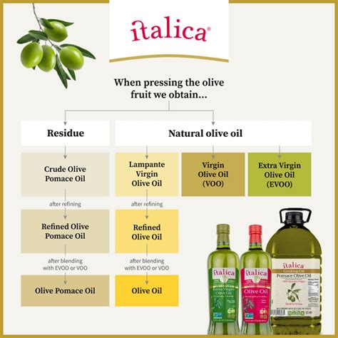 Types of Olive Oil - ITALICA - Organic Extra Virgin Olive Oil