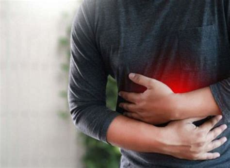 Olive Nutrition | BLog details