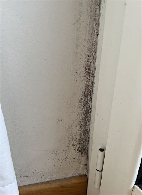 HOTEL SALIS (Rome) - B&B Reviews, Photos, Rate Comparison - Tripadvisor