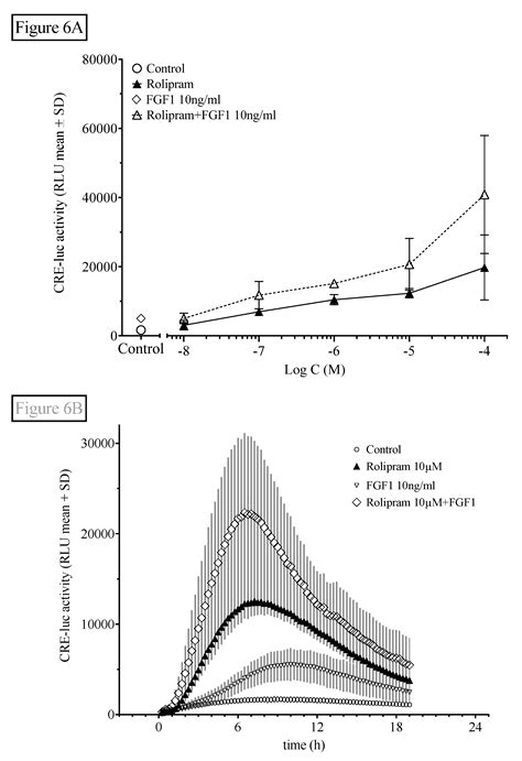 Influence of Phosphodiesterase Inhibition on CRE- and EGR1-Dependent ...