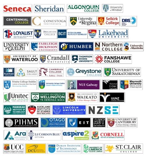 Study Aboad | Road to Abroad | Admission, IELTS & Study Visa