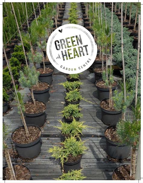 Image result for Practice Project for InDesign