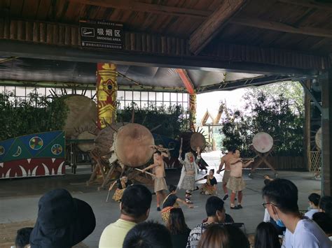 开屏新闻-跟着大象游云南｜第一站：西双版纳，与亚洲象不期而遇