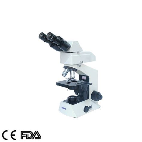 Fluorescence Microscope 的图像结果