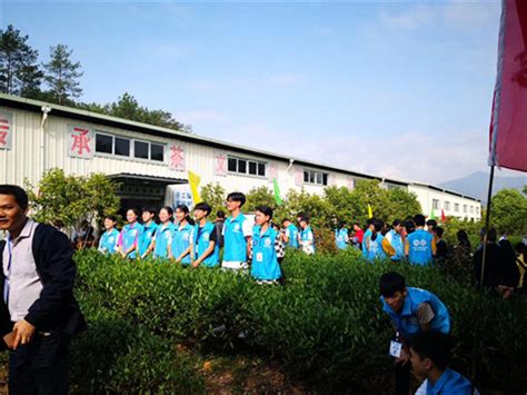 2023年全国职业院校技能大赛中职组河南省选拔赛园林微景观设计与制作赛项在郑州举行