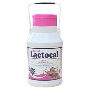 SHELTER Lactocal Super Gel Calcium Supplement for Poultry and Livestock ...