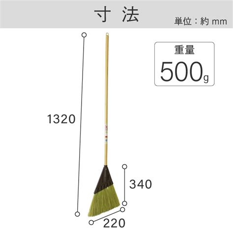 #Document Object Model JavaScript 的图像结果