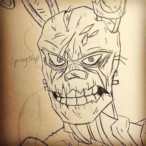 Image result for Spring Trap Front View