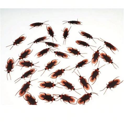 Image result for Scary Cockroach Pranks