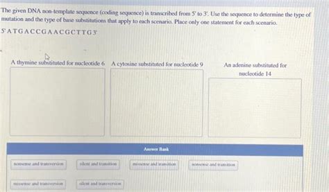 How to List the Complementary Non-Coding DNA Sequence 的图像结果