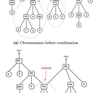 Image result for Combination Function Examples