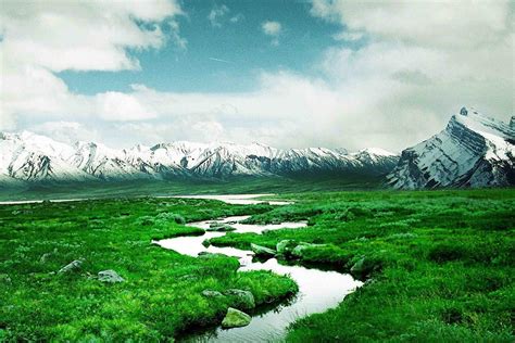 Go Green Tale Nature Poster|Green Grass Pathway|Scenery Poster|Poster ...