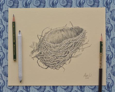 Sketching Tree Limbs 的图像结果