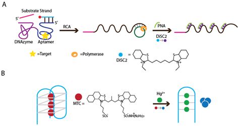 Integrating Deoxyribozymes into Colorimetric Sensing Platforms