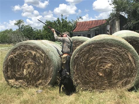 Texas South Zone Dove Season | 150%
