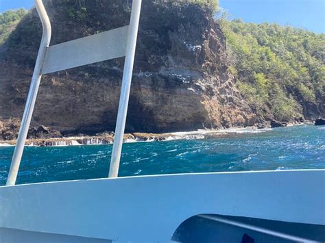 Bequia Dive Adventures - All You Need to Know BEFORE You Go