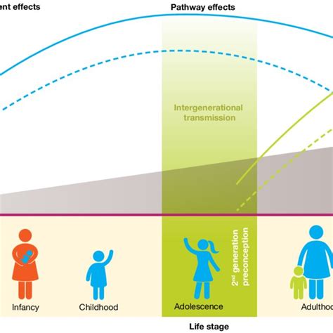 Image result for Life Course Approach