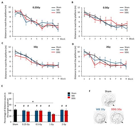 Targeted Dorsal Dentate Gyrus or Whole Brain Irradiation in Juvenile ...