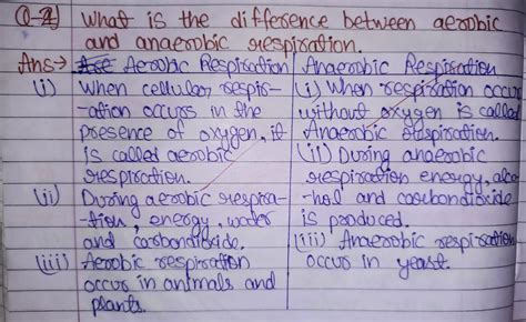 Difference between Aerobic and Anaerobic Respiration? - Brainly.in