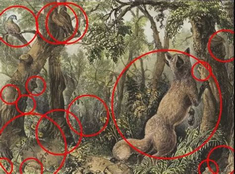 Optical Illusion Tests Eyesight With 16 Hidden Animals