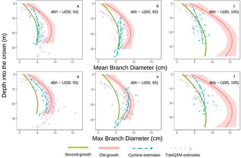 Comparison of Mature Douglas-Firs’ Crown Structures Developed with Two ...