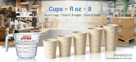 Oz to Cups Conversion Guide (8–16 oz)