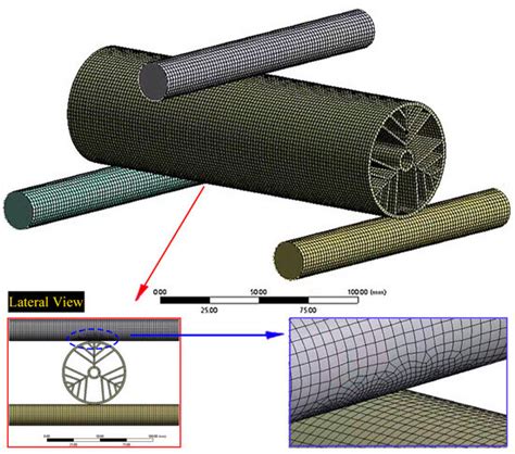 The Design of a Biomimetic Hierarchical Thin-Walled Structure Inspired ...