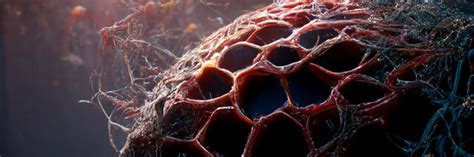 Image result for Alien Cell Game