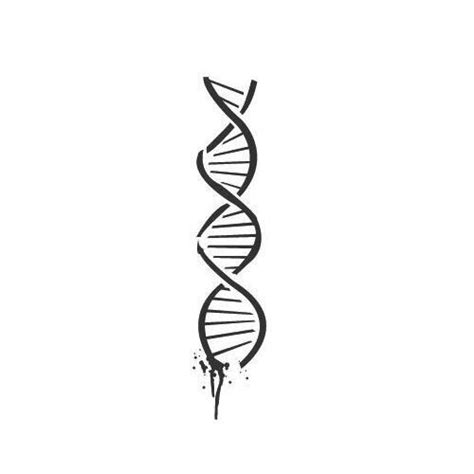 Image result for Dendrogram Coloring Two Clusters INR