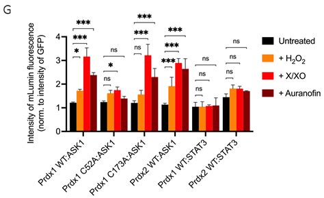 Prdx1 Interacts with ASK1 upon Exposure to H2O2 and Independently of a ...
