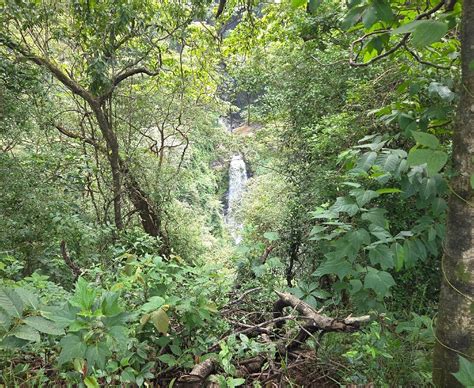 NETRAVALI WILDLIFE SANCTUARY - All You Need to Know BEFORE You Go 2026 ...