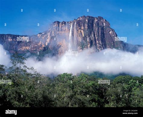 Angel Falls. At a height of 979 metres (3,212 feet) Angel Falls is the ...