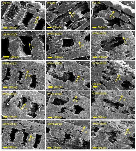 Material Extrusion of Wool Waste/Polycaprolactone with Improved Tensile ...