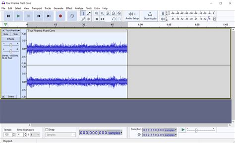 Image result for Audacity Sound Problems