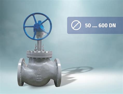 Best Globe Valve Manufacturers in India | Globe Valve Suppliers.