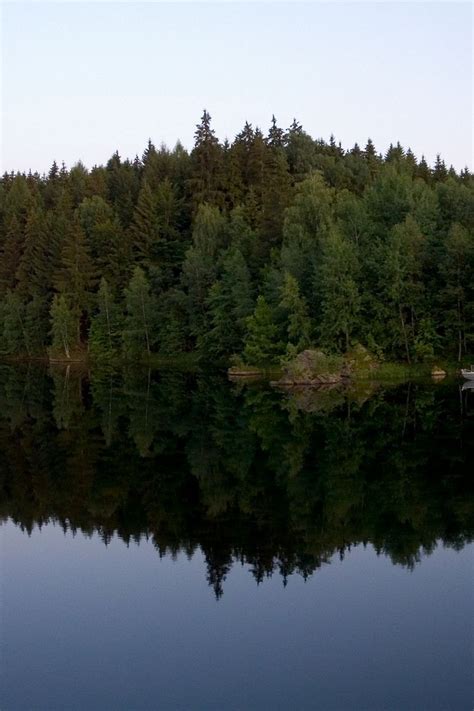 Download wallpaper 800x1200 wood, coast, lake, reflection, triangle ...