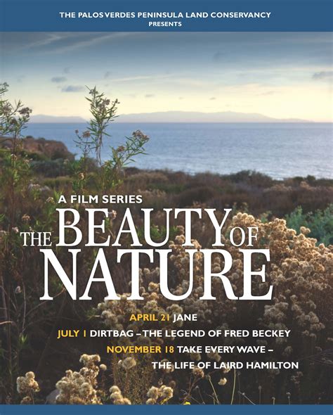 Beauty in Nature 的图像结果