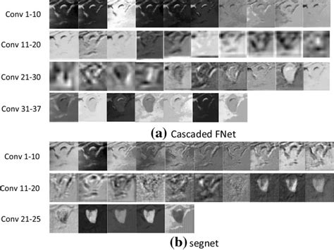 Image result for Convolution Feature Map