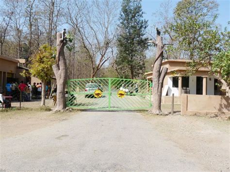 Jungle Safari Corbett