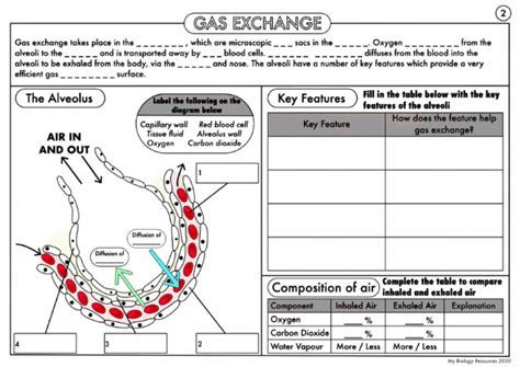 Image result for Free Science Lessons Gas Exchange