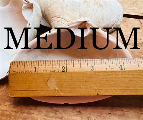 Image result for Reusable Clam Shells for Baking