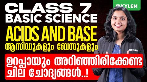Image result for Xylem Class 7 Basic Science