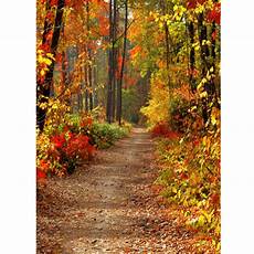 Photography Girly Fall Backgrounds by 5x7ft Autumn Fall Forest Vinyl Background Backdrop Cloth Photography Girly Fall Backgrounds
