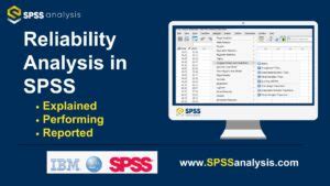 SPSS Reliability Tutorial 的图像结果