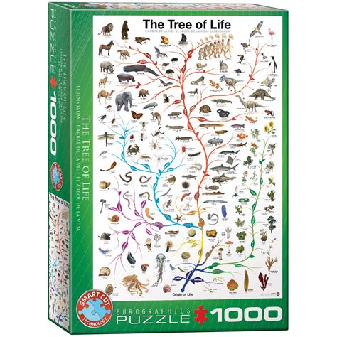 Tree of Life Evolution 的图像结果