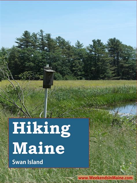 Hiking Swan Island for Father’s Day – Weekends in Maine