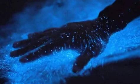 Puerto Rico's bioluminescent bays: Everything you need to know ...