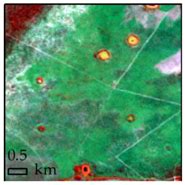 Using Spatial Features to Reduce the Impact of Seasonality for ...