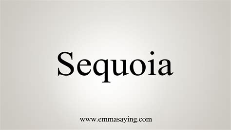 Sequoia Meaning And Pronunciation at Emma Spyer blog